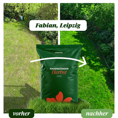 200 m² Rasenfläche in Sachsen