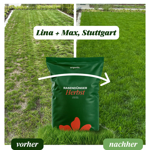 500 m² Rasenfläche in Baden-Württemberg