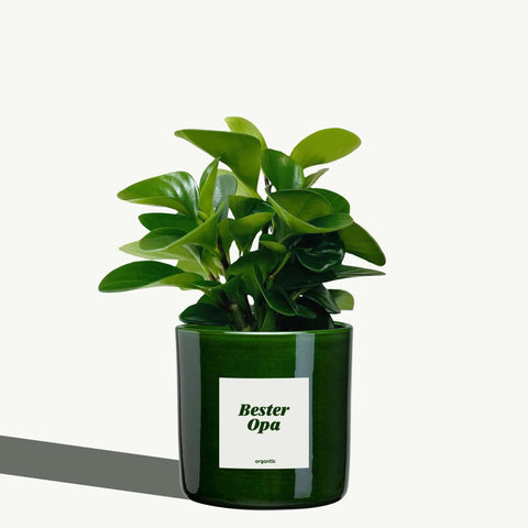 Bester Opa - organtic.com - Rasen, Pflanzen, Interior und mehr