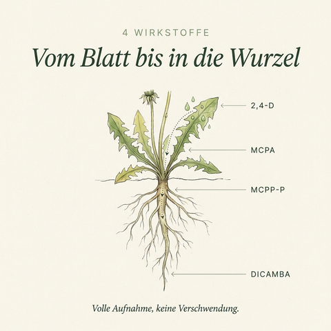 Sommerdünger mit Unkrautvernichter