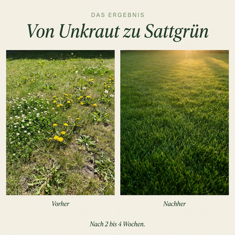 Sommerdünger mit Unkrautvernichter