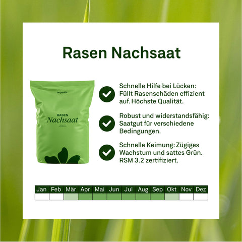 Frühjahr-Rasenset inkl. GRATIS Unkrautvernichter + PDF Ganzjahres-Pflegeplan