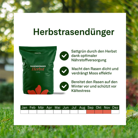 Mach' doch eine Jahres-Box draus!