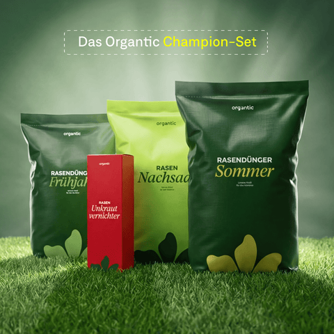 Champion - Set - organtic.com - Rasen, Pflanzen, Interior und mehr