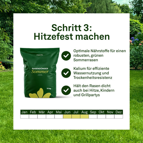 Champion - Set - organtic.com - Rasen, Pflanzen, Interior und mehr