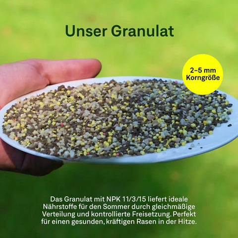 Champion - Set - organtic.com - Rasen, Pflanzen, Interior und mehr