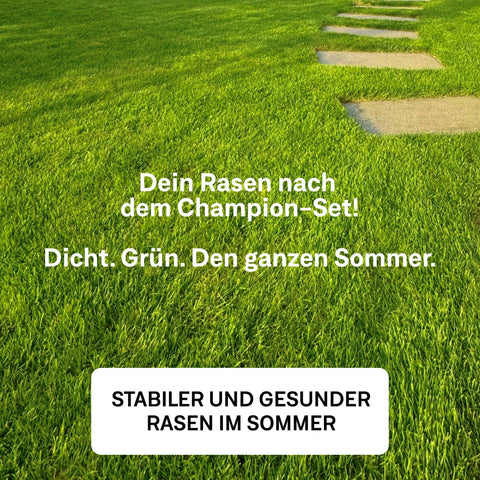 Champion - Set - organtic.com - Rasen, Pflanzen, Interior und mehr