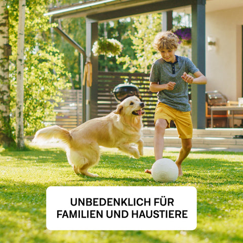 Champion - Set - organtic.com - Rasen, Pflanzen, Interior und mehr