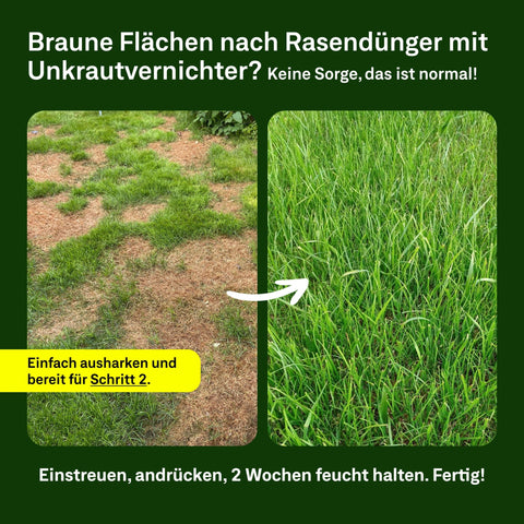 Champion - Set - organtic.com - Rasen, Pflanzen, Interior und mehr