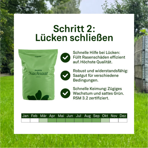 Champion - Set - organtic.com - Rasen, Pflanzen, Interior und mehr