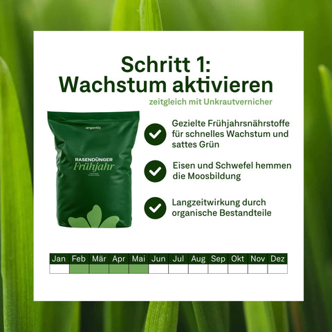 Champion - Set - organtic.com - Rasen, Pflanzen, Interior und mehr