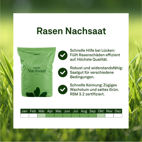 Das Traumrasen - Paket - organtic.com - Rasen, Pflanzen, Interior und mehr