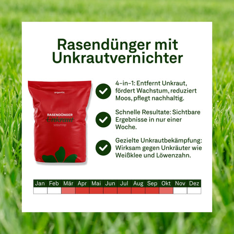 Das Traumrasen - Paket PREMIUM - organtic.com - Rasen, Pflanzen, Interior und mehr