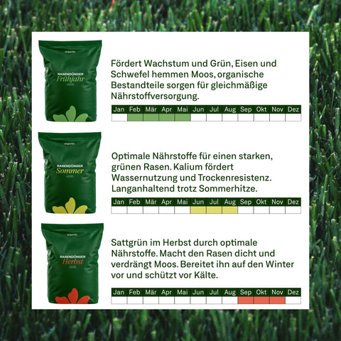 Das Traumrasen - Paket PREMIUM - organtic.com - Rasen, Pflanzen, Interior und mehr