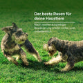 Frühjahrrasendünger mit Unkrautvernichter - organtic.com - Rasen, Pflanzen, Interior und mehr