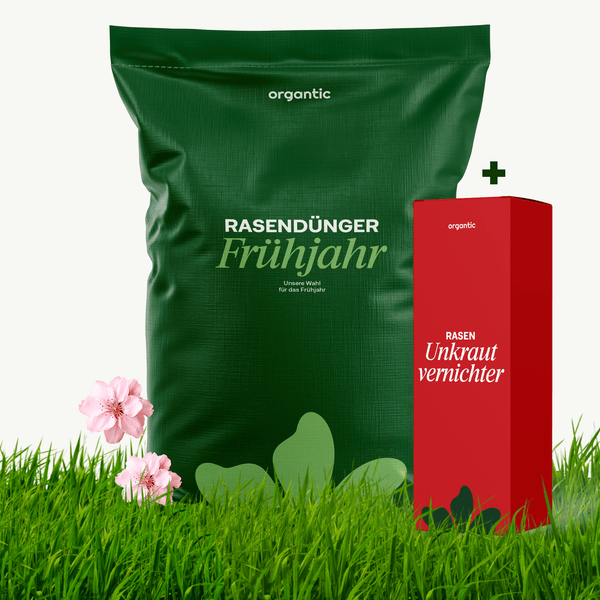 Allflor Rasendünger + Unkrautvernichter – organtic.com