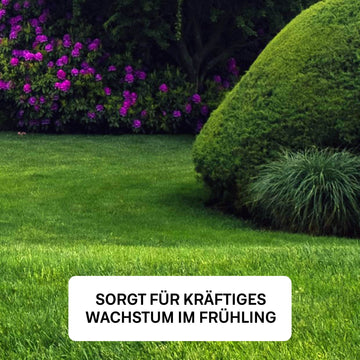 rasen düngen und nachsäen frühjahr Frühjahr-Rasenset – organtic.com