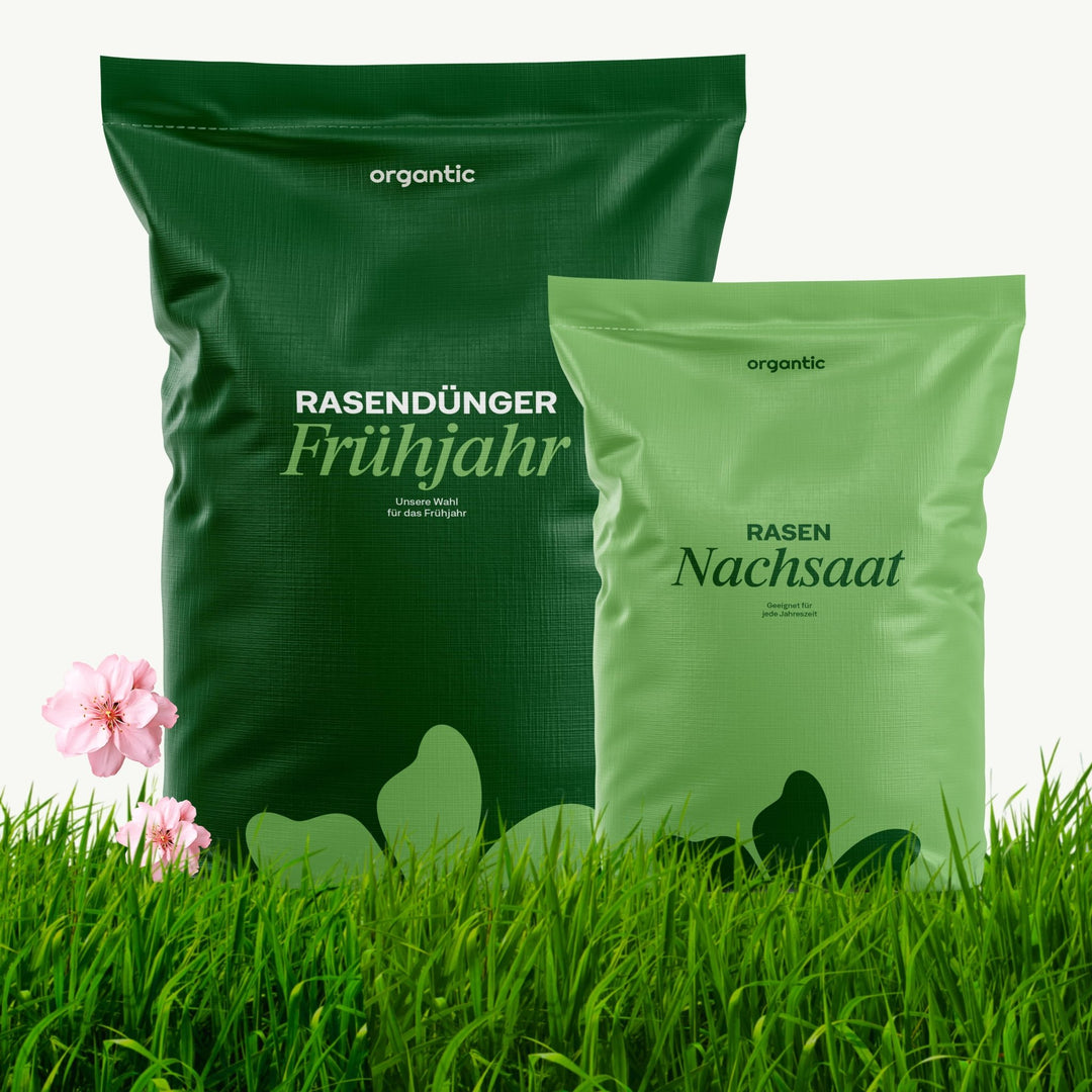 Frühjahr-Rasenset – organtic.com