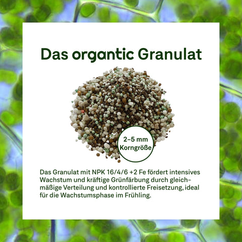 Frühjahr - Rasenset inkl. GRATIS Unkrautvernichter + PDF Ganzjahres - Pflegeplan - organtic.com - Rasen, Pflanzen, Interior und mehr