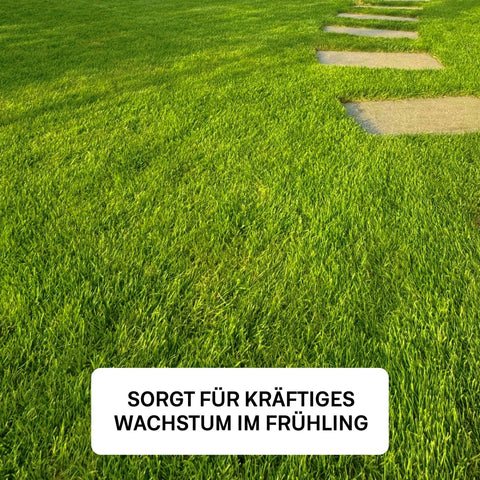 Frühjahr - Rasenset inkl. GRATIS Unkrautvernichter + PDF Ganzjahres - Pflegeplan - organtic.com - Rasen, Pflanzen, Interior und mehr