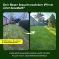 Frühjahr - Rasenset inkl. GRATIS Unkrautvernichter + PDF Ganzjahres - Pflegeplan - organtic.com - Rasen, Pflanzen, Interior und mehr