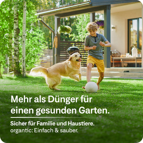 Frühjahrrasendünger - organtic.com - Rasen, Pflanzen, Interior und mehr