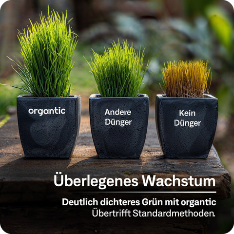 Frühjahrrasendünger - organtic.com - Rasen, Pflanzen, Interior und mehr