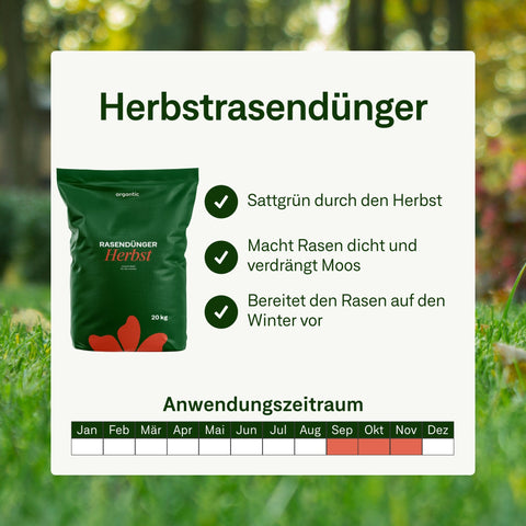 Herbst - Rasenset - organtic.com - Rasen, Pflanzen, Interior und mehr