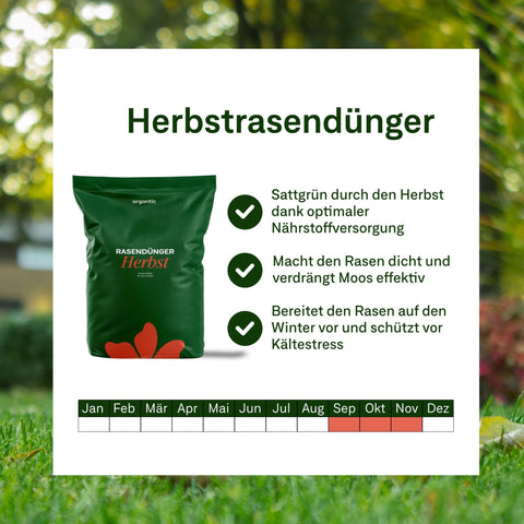 Herbst - Rasenset - organtic.com - Rasen, Pflanzen, Interior und mehr