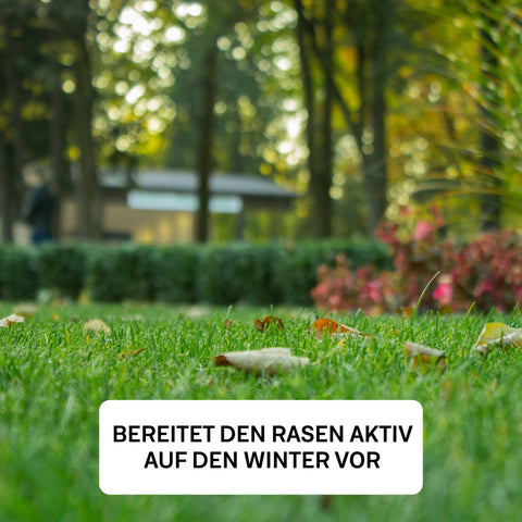 Herbst - Rasenset - organtic.com - Rasen, Pflanzen, Interior und mehr