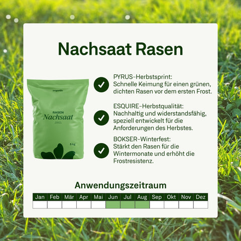 Herbst - Rasenset - organtic.com - Rasen, Pflanzen, Interior und mehr