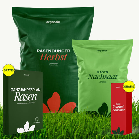 Herbst - Rasenset inkl. GRATIS Unkrautvernichter + PDF Ganzjahres - Pflegeplan - organtic.com - Rasen, Pflanzen, Interior und mehr