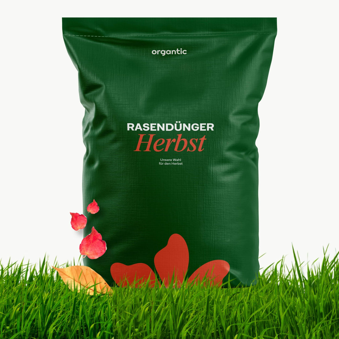 Herbstrasendünger – organtic.com