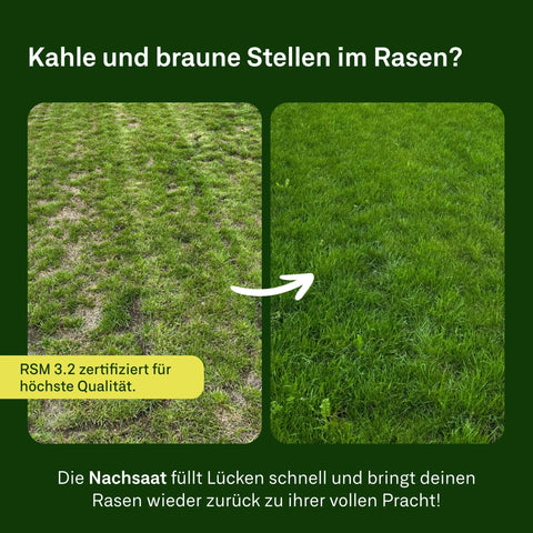 Nachsaat Rasen - organtic.com - Rasen, Pflanzen, Interior und mehr