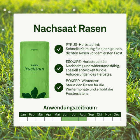 Nachsaat Rasen - organtic.com - Rasen, Pflanzen, Interior und mehr