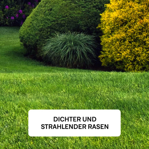 Nachsaat Rasen - organtic.com - Rasen, Pflanzen, Interior und mehr