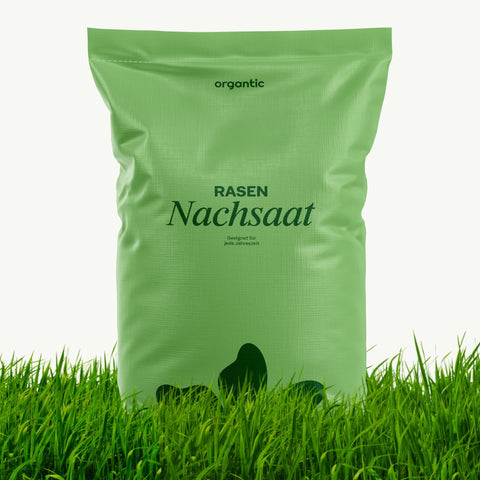 Nachsaat Rasen - organtic.com - Rasen, Pflanzen, Interior und mehr