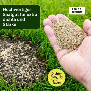 rasen saatgut Nachsaat Rasen – organtic.com