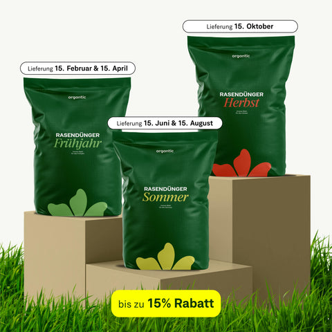 Jahres-Abo