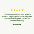 Pflanze im Topf personalisiert - organtic.com - Rasen, Pflanzen, Interior und mehr