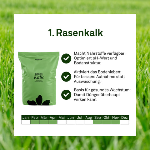 Power - Set - organtic.com - Rasen, Pflanzen, Interior und mehr