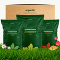 Rasen-Jahresbox