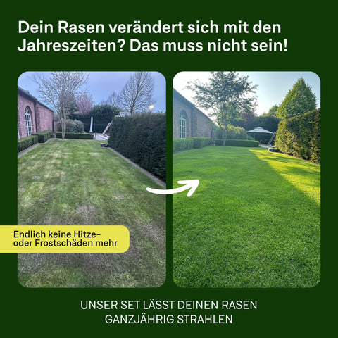 Rasen - Jahresbox - organtic.com - Rasen, Pflanzen, Interior und mehr