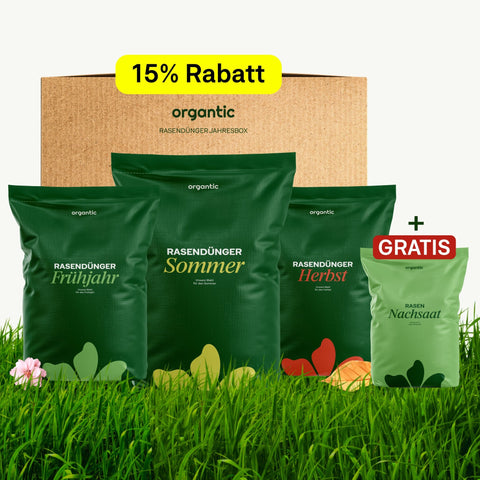 Rasen - Jahresbox - organtic.com - Rasen, Pflanzen, Interior und mehr