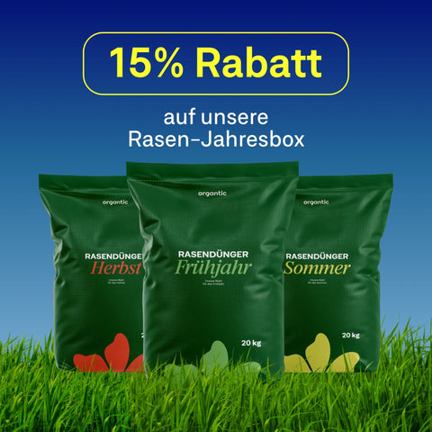 Rasen - Jahresbox - organtic.com - Rasen, Pflanzen, Interior und mehr