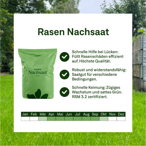 Rasen - Jahresbox inkl. Gratis Nachsaat - organtic.com - Rasen, Pflanzen, Interior und mehr