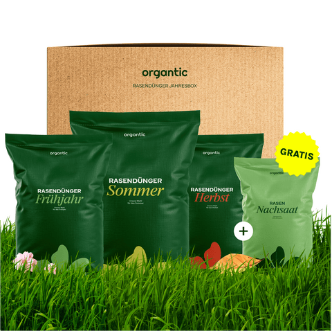 Rasen - Jahresbox inkl. Gratis Nachsaat - organtic.com - Rasen, Pflanzen, Interior und mehr