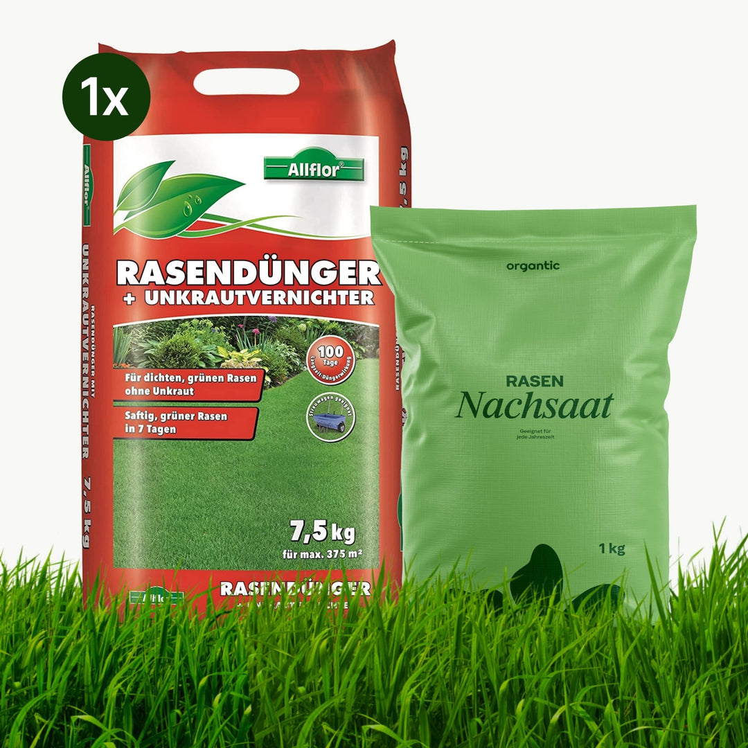 Rasendünger mit Unkrautvernichter + Nachsaat