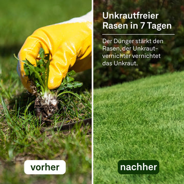 Rasendünger mit Unkrautvernichter + Nachsaat