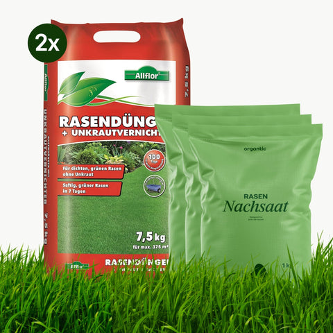 Rasendünger mit Unkrautvernichter + Nachsaat - organtic.com - Rasen, Pflanzen, Interior und mehr